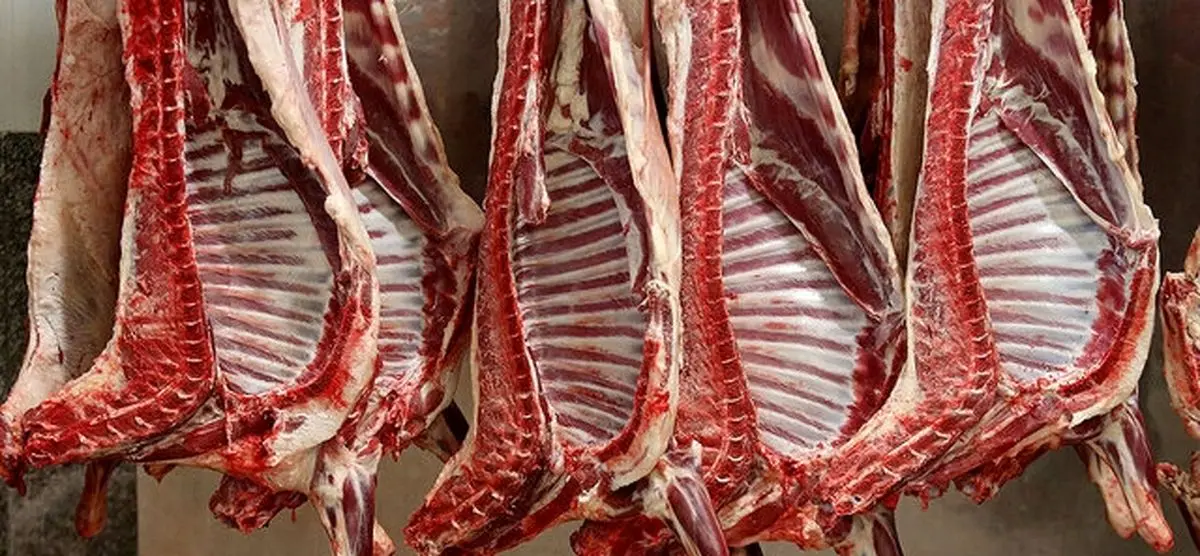 مشکلی در تامین گوشت قرمز در آذربایجان غربی وجود ندارد/تولید سالانه بیش از ۵۸۰۰۰ کیلو گرم گوشت قرمز در استان