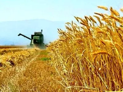 بهره گیری از اقدامات نوآورانه در کشت پاییزه غلات فارس