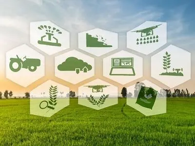 اصلاح سازوکارهای حمایتی از ضرورت‌های اصلی استمرار تولید در بخش کشاورزی استان مرکزی