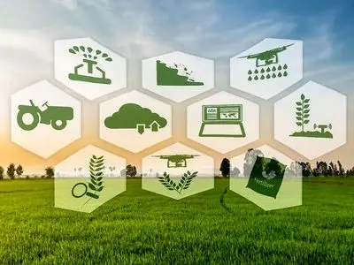 اصلاح سازوکارهای حمایتی از ضرورت‌های اصلی استمرار تولید در بخش کشاورزی استان مرکزی