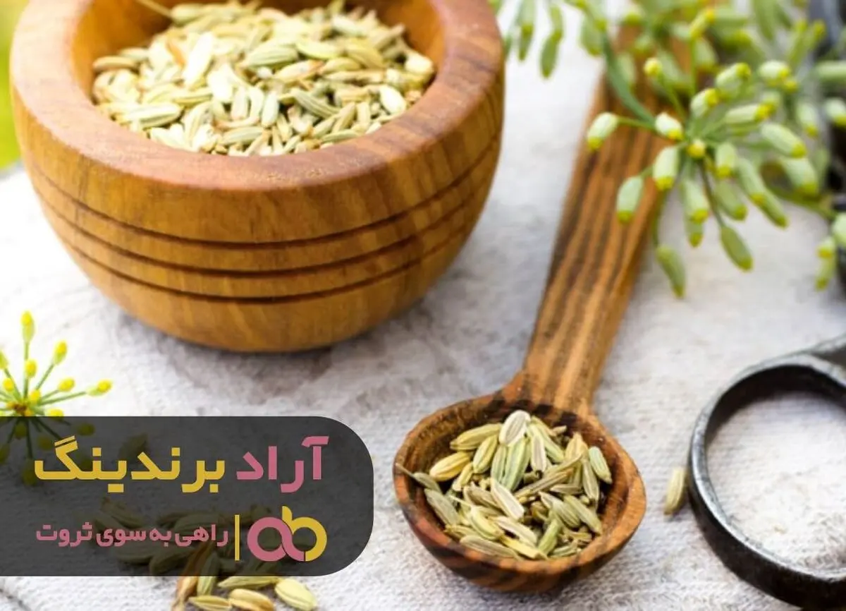
زیره سبزی و نشاط را به ثروتم هدیه داد