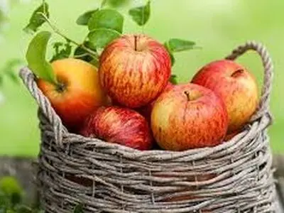 سیب بخورید تا بیمار نشوید+فیلم