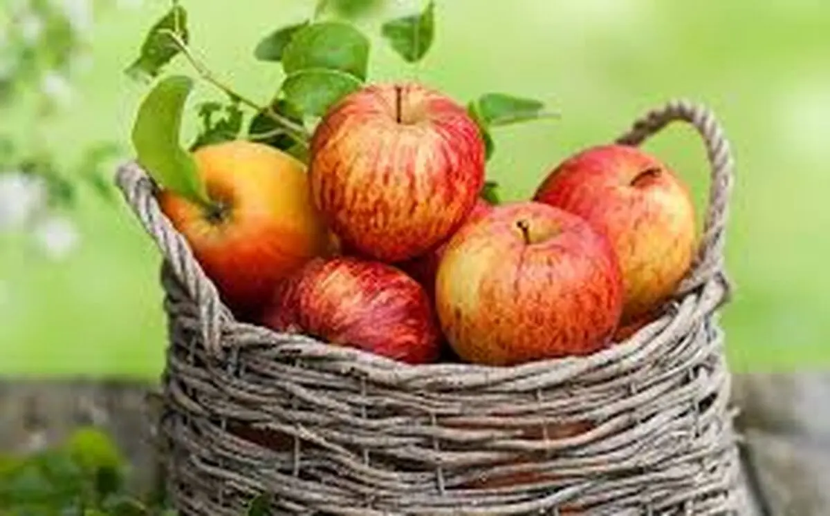 مزایای شگفت انگیز سیب