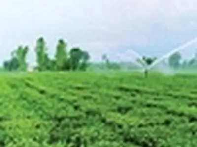 تغییر در رویکردهای توسعه‌ای بخش کشاورزی ضروری است
