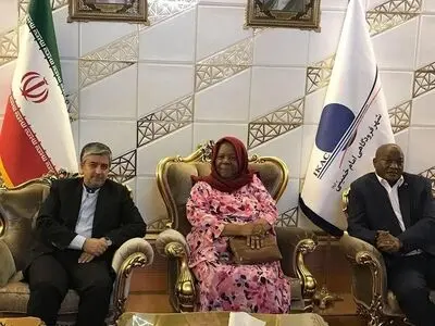 وزیر امور خارجه آفریقای جنوبی وارد تهران شد