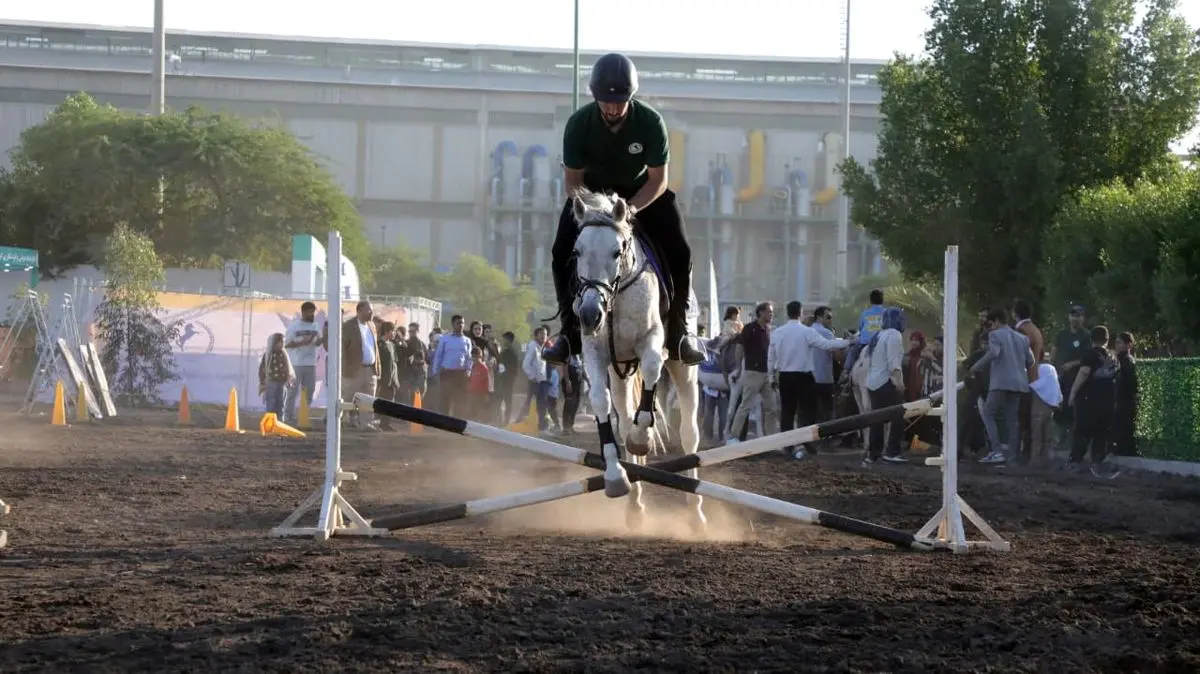 تاخت بر میراث؛ اسب‌سواری در شکرستان۵ جان تازه گرفت
