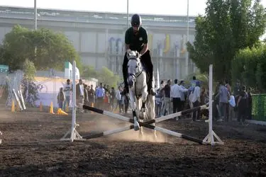 تاخت بر میراث؛ اسب‌سواری در شکرستان۵ جان تازه گرفت