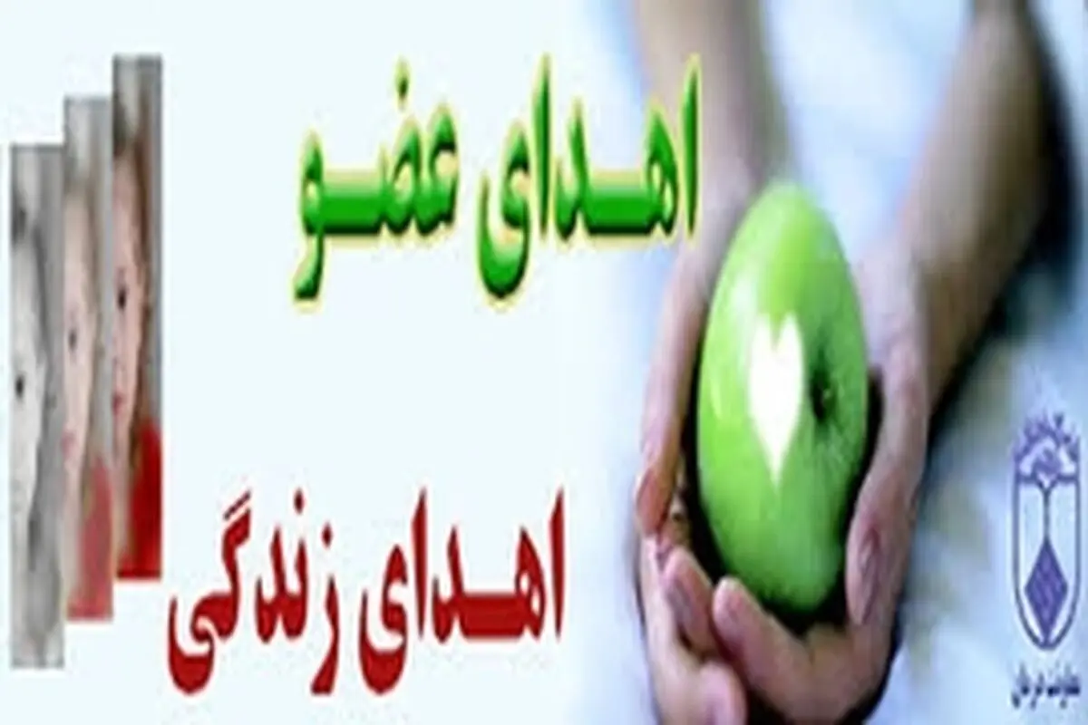 جوان بهمئی در کهگیلویه و بویراحمد جان سه نفر را نجات داد