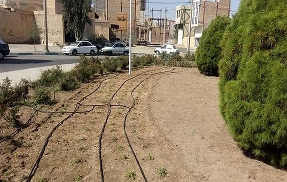 خشکسالی کاشت چمن در فضای سبز شهری ارومیه را محدود کرد