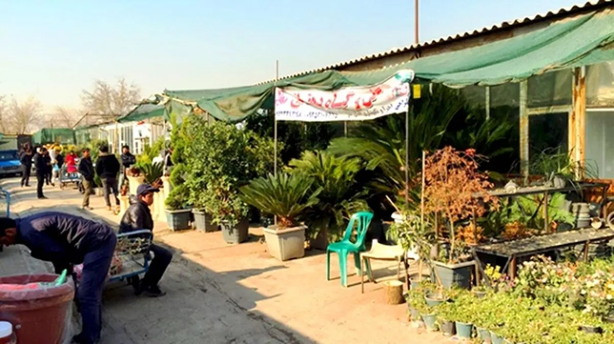 توضیحات شهردار منطقه ۱۴ درباره آخرین وضعیت بازار گل جنوب شرق تهران