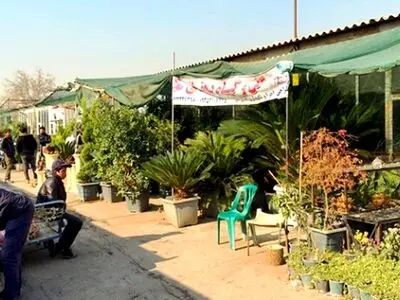 توضیحات شهردار منطقه ۱۴ درباره آخرین وضعیت بازار گل جنوب شرق تهران