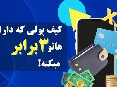 اگر دنبال درآمدزایی هستید، به سراغ این کیف پولها بیایید!