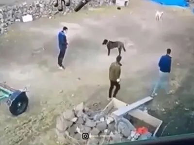 لحظه پاره شدن زنجیر سگ درشت هیکل و حمله به دو شهروند + فیلم