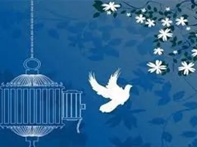 ۱۸۴ زندانی جرایم غیرعمد لرستان چشم انتظار کمک خیران