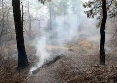 دستور فوری دادستان شیراز برای دستگیری آتش افروز کوهستان