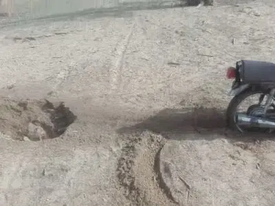شناسایی عامل زنده به گور کردن یک قلاده سگ در شهرستان بوشهر 