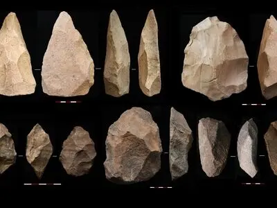 افق تازه‌ای پیش روی باستان‌شناسان دوره پارینه‌سنگی ایران/ نقشه گسترش انسان ریخت‌ها به اوراسیا کامل‌تر می‌شود