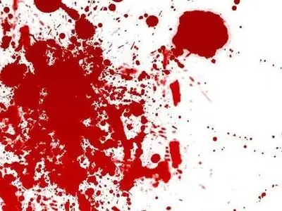 سیدی که با نیش زنبور او را کشتند!