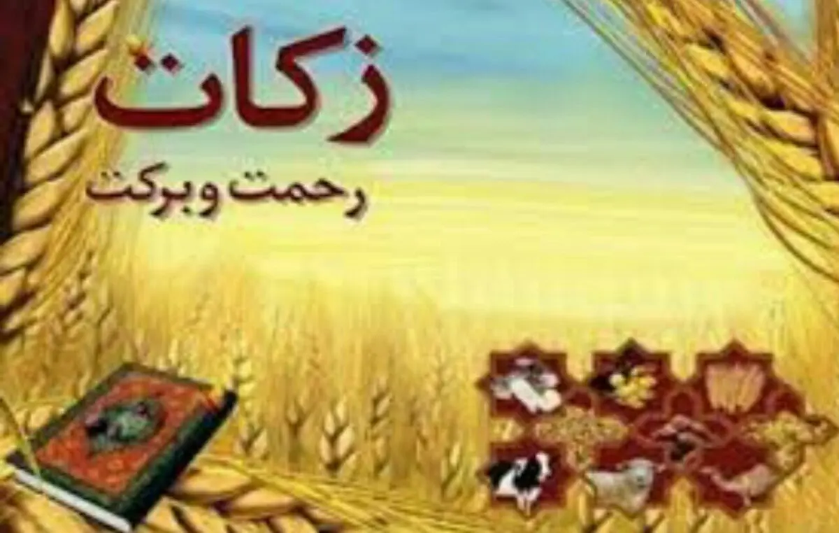 لزوم اطلاع‌رسانی برکات زکات