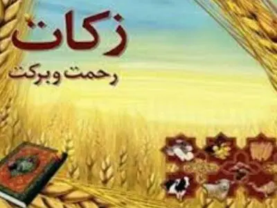لزوم اطلاع‌رسانی برکات زکات