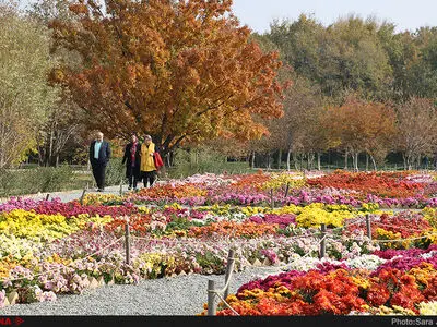 باغ گیاه‌شناسی ملی