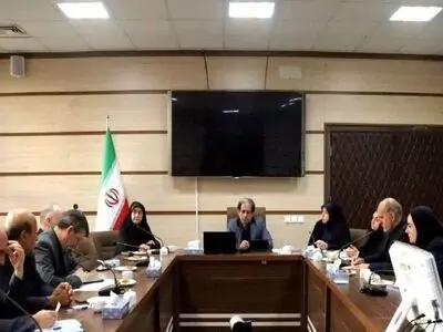 هم‌افزایی دستگاه‌های اجرایی برای حمایت از درمان ناباروری ضروری است