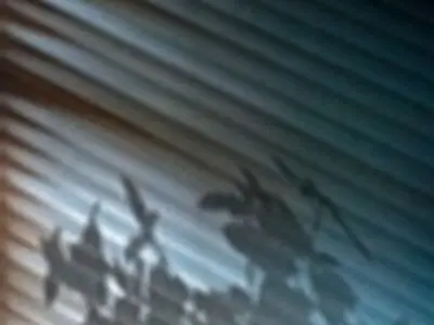 پوستر جشنواره سینماحقیقت رو نمایی شد