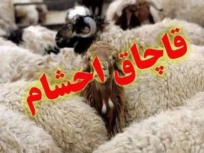 asdasd