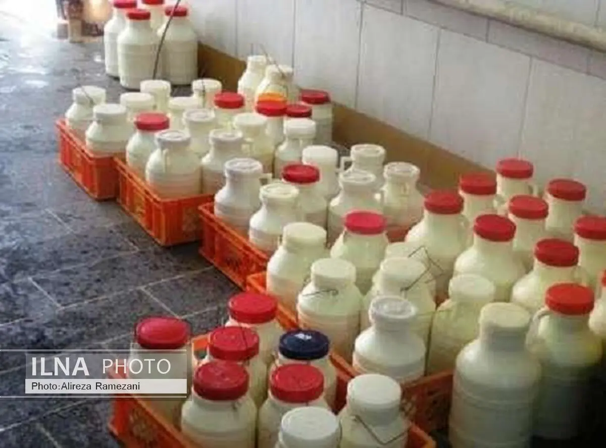 کشف و ضبط 850 کیلوگرم مواد لبنی تاریخ مصرف گذشته در سردشت 