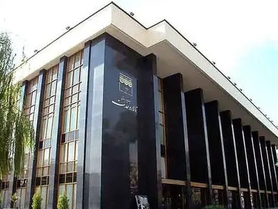 توضیحات مدیرعامل بنیاد رودکی درباره هنجارشکنی در کنسرت
