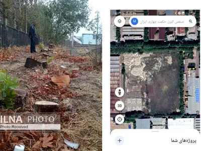 قطع ۲۲۰ درخت سرسبز در شهر صنعتی البرز بر سر اختلاف دو مالک/ پرونده به دستگاه قضایی رفت+ عکس  