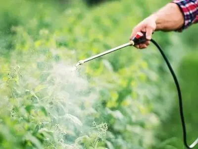 آفتکش‌های ممنوعه، قاچاق، تقلبی و تاریخ گذشته توقیف می شوند