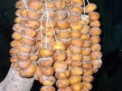 دستور تهیه جوز قندی؛ گرانترین شیرینی و خشکبار ایران