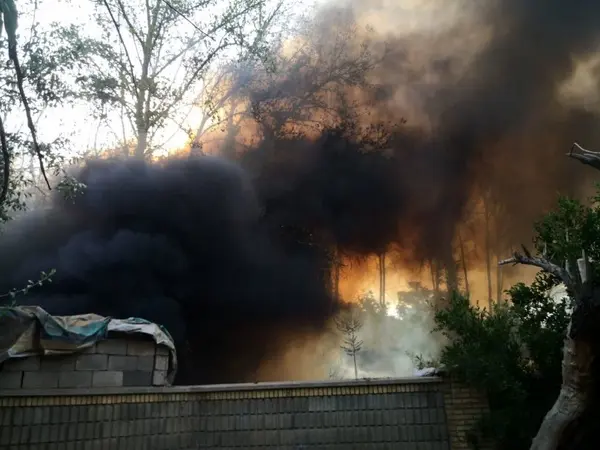 آتش‌سوزی در باغ‌های چمران شیراز مهار شد