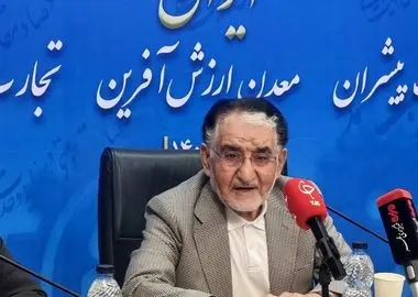 به دست خودمان برای فرش ایرانی رقیب تراشیدیم/ سند تحول فرش تهیه شد