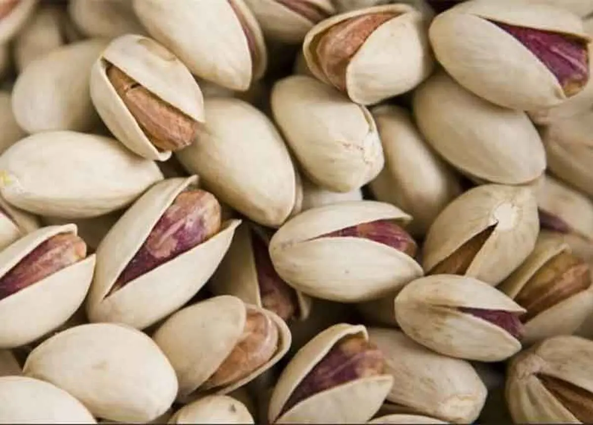 بورس کالا ابزاری کارآمد برای تامین مالی فعالان بازار پسته