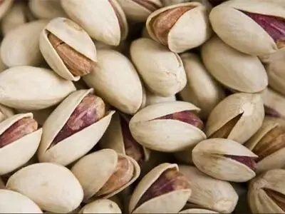 بورس کالا ابزاری کارآمد برای تامین مالی فعالان بازار پسته