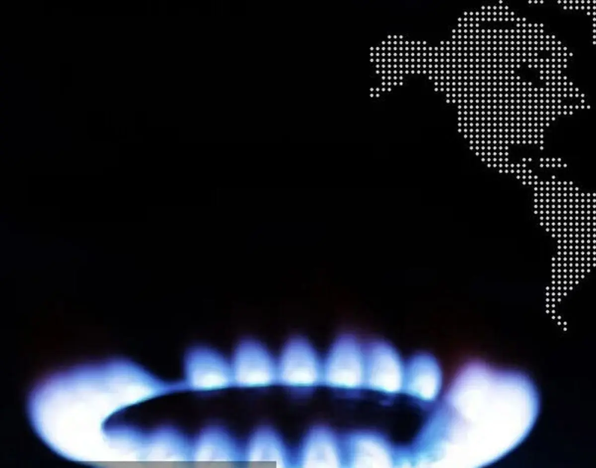 مصرف ۵۹۲ میلیون مترمکعب گاز در بخش خانگی