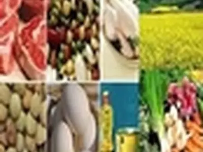 تورم خردادماه به ۲۶.۲ درصد کاهش یافت