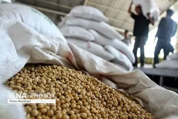 عامل قاچاق خوراک دام در قزوین بیش از چهار میلیارد جریمه شد