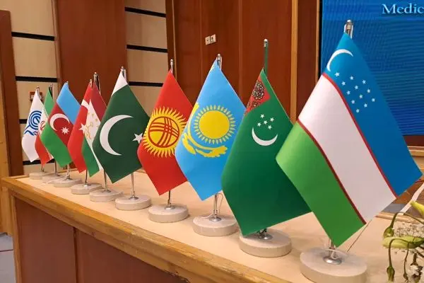 اجلاس سران کشورهای عضو اکو ۱۲ تیر به میزبانی جمهوری آذربایجان برگزار می‌شود
