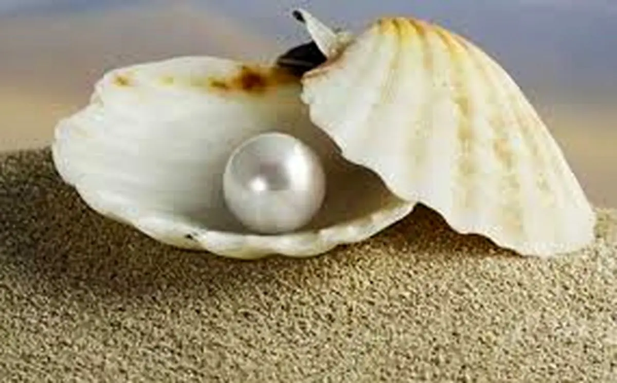  این زن خالق اولین قرآن صدفی جهان است +فیلم