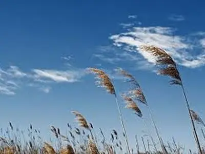 پیش بینی وزش باد در چهارمحال و بختیاری