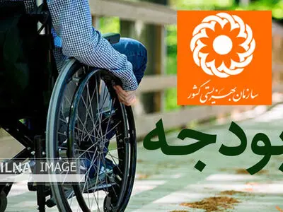افزایش ۳۹۴ میلیارد تومانی بودجه بهزیستی ناکافی است/ تنها ۱۸.۵ درصد از اعتبار مورد نیاز معلولان در بودجه دیده شد