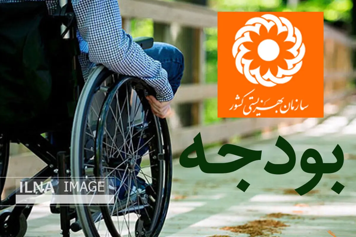افزایش ۳۹۴ میلیارد تومانی بودجه بهزیستی ناکافی است/ تنها ۱۸.۵ درصد از اعتبار مورد نیاز معلولان در بودجه دیده شد