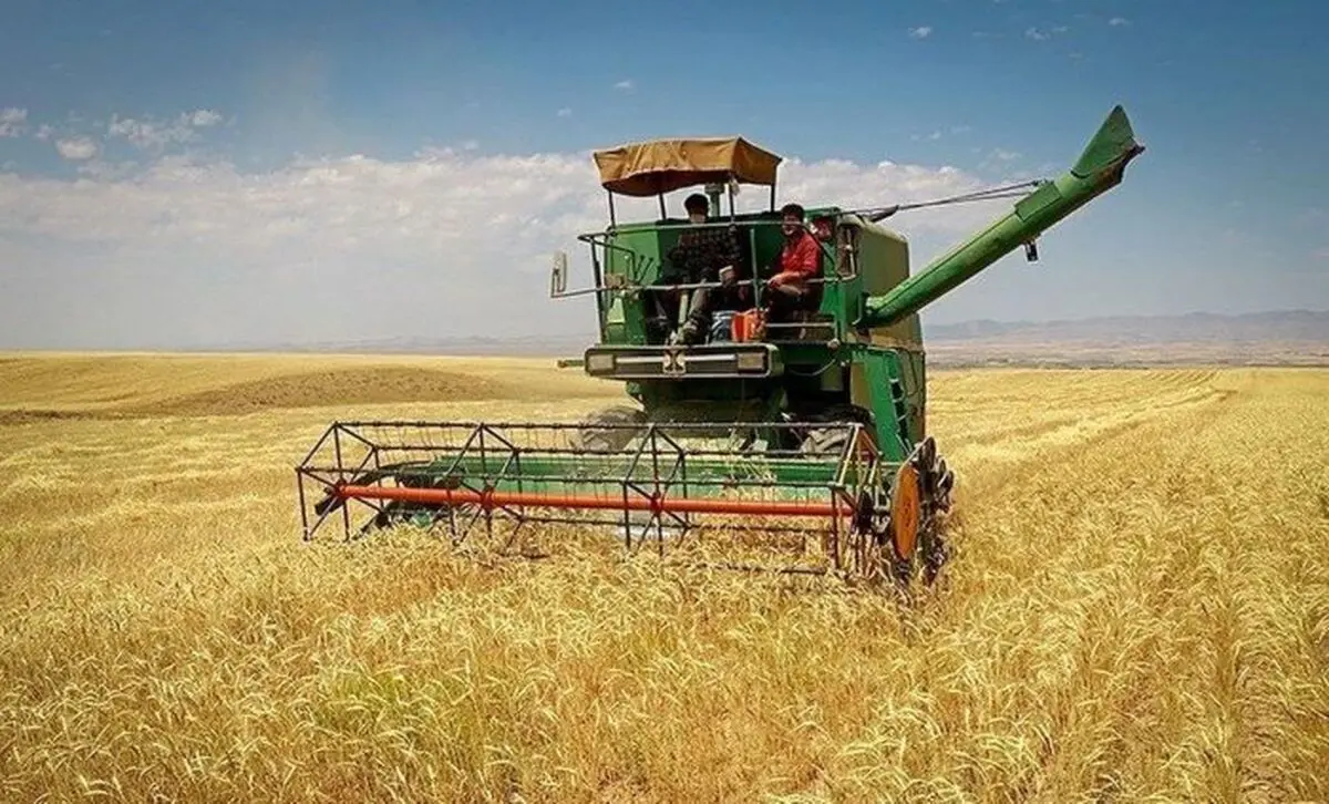 مطالبات گندمکاران در اولین فرصت پرداخت شود