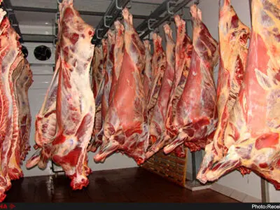 جریمه ۱.۸میلیاردی برای عرضه خارج از شبکه گوشت تنظیم بازاری در لرستان