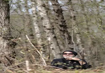 پایتخت سفارش هیچ شخص یا ارگانی نیست/ خط قرمزها نتیجه فشارهای بیرون از سازمان/ دردسر کارهای پرمخاطب، مدیران را به سمت تولیدات هجو می‌برد/ مدیران کارهای پرمخاطب را بیشتر توبیخ می‌کنند