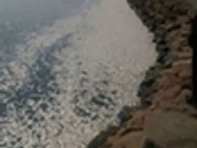 ماهی با کمترین آلودگی از بین می‌رود / علت مرگ ماهیان ساردین در دست بررسی است