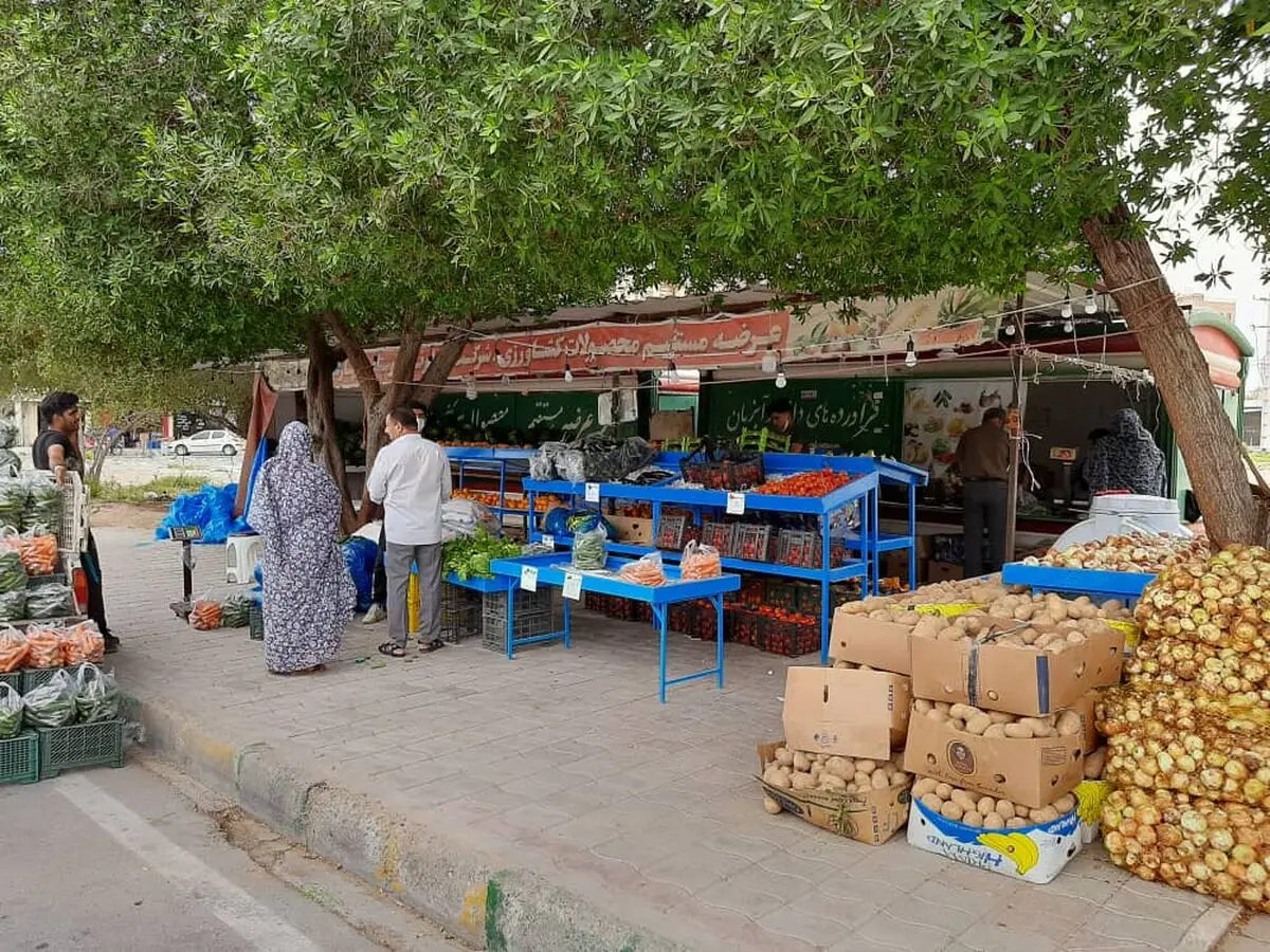 Iran’s Mazandaran exports over 17k tons of kiwi in 8 months: Official